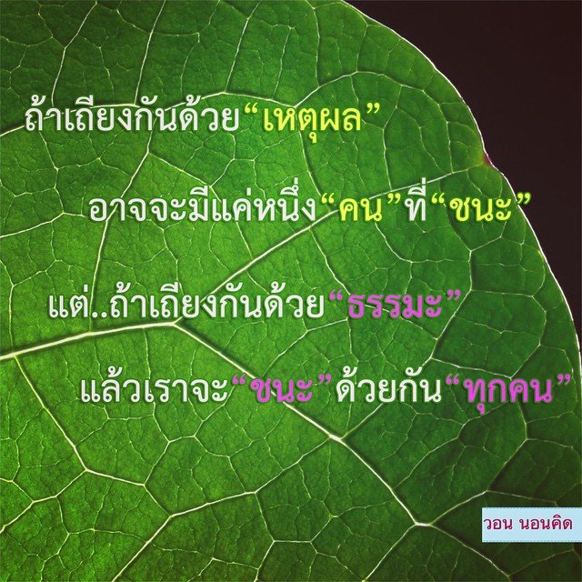My Image 34